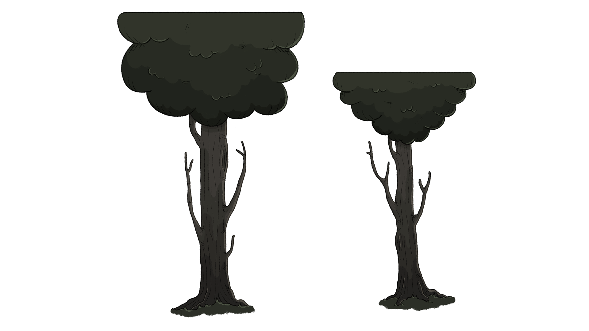 Trees_Platform